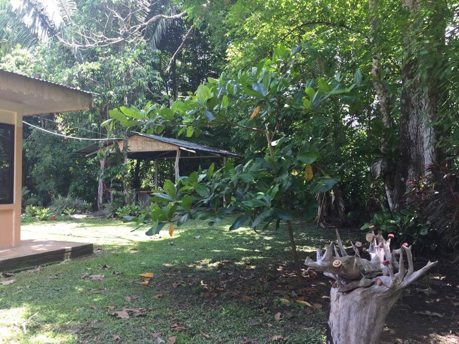 Casa a 26 kilómetros de Jaco rodeado de naturaleza