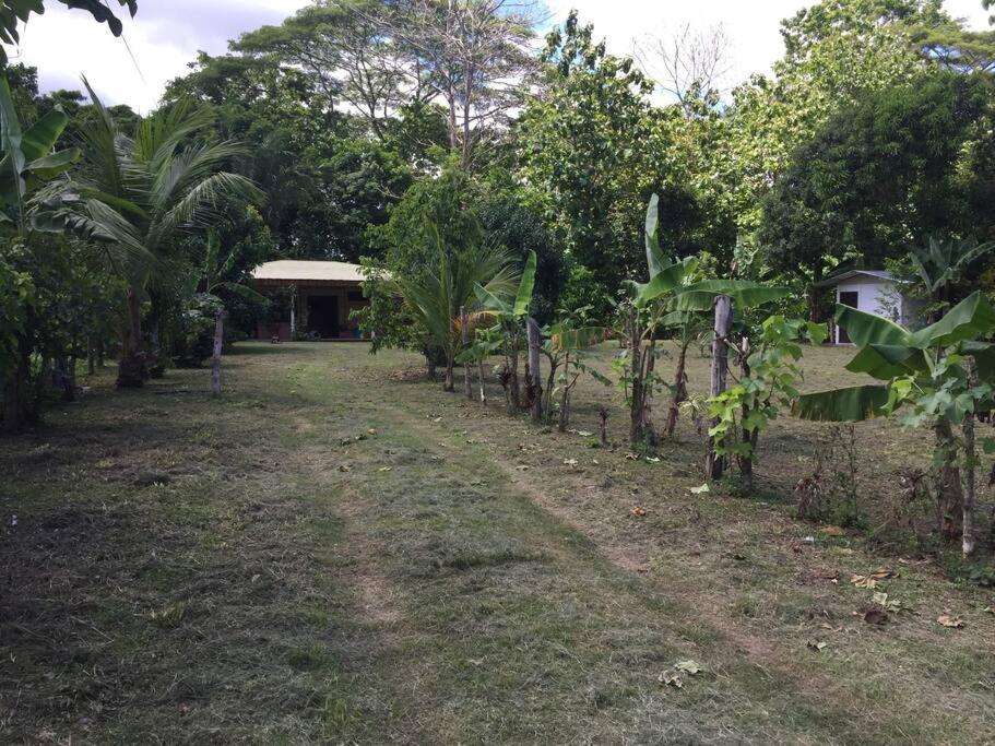 Casa a 26 kilómetros de Jaco rodeado de naturaleza