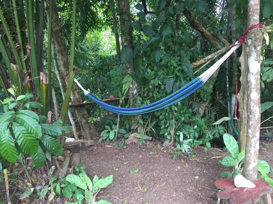 Casa a 26 kilómetros de Jaco rodeado de naturaleza