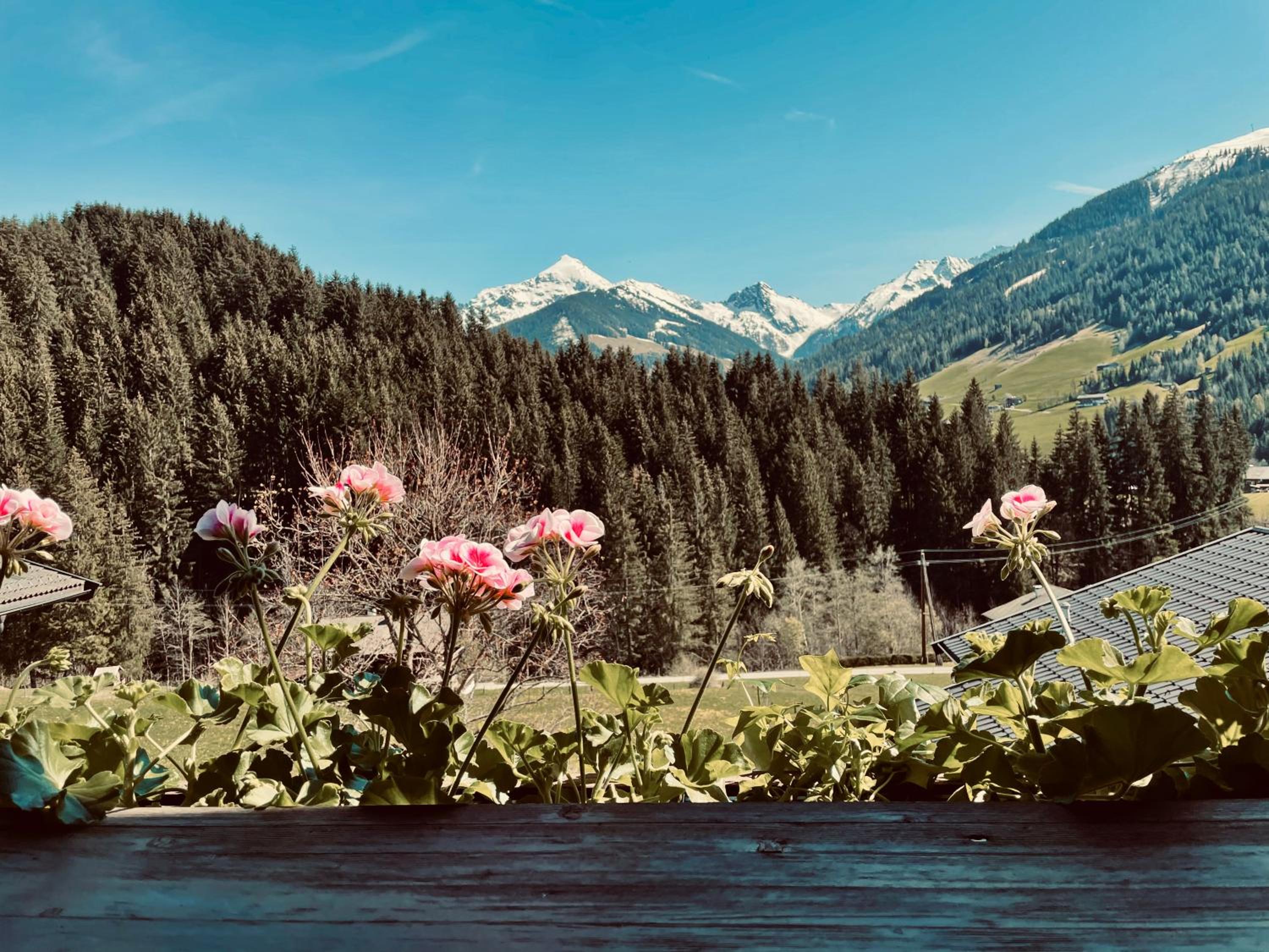 Naturapartments Alpbach - Alpin Bio Deluxe