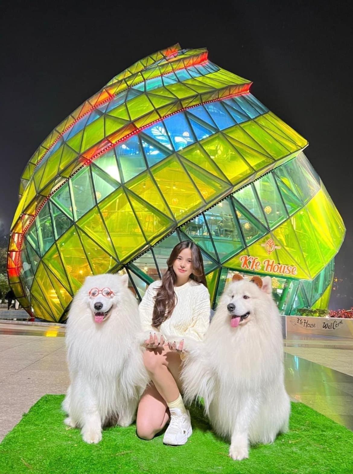 Photo 44