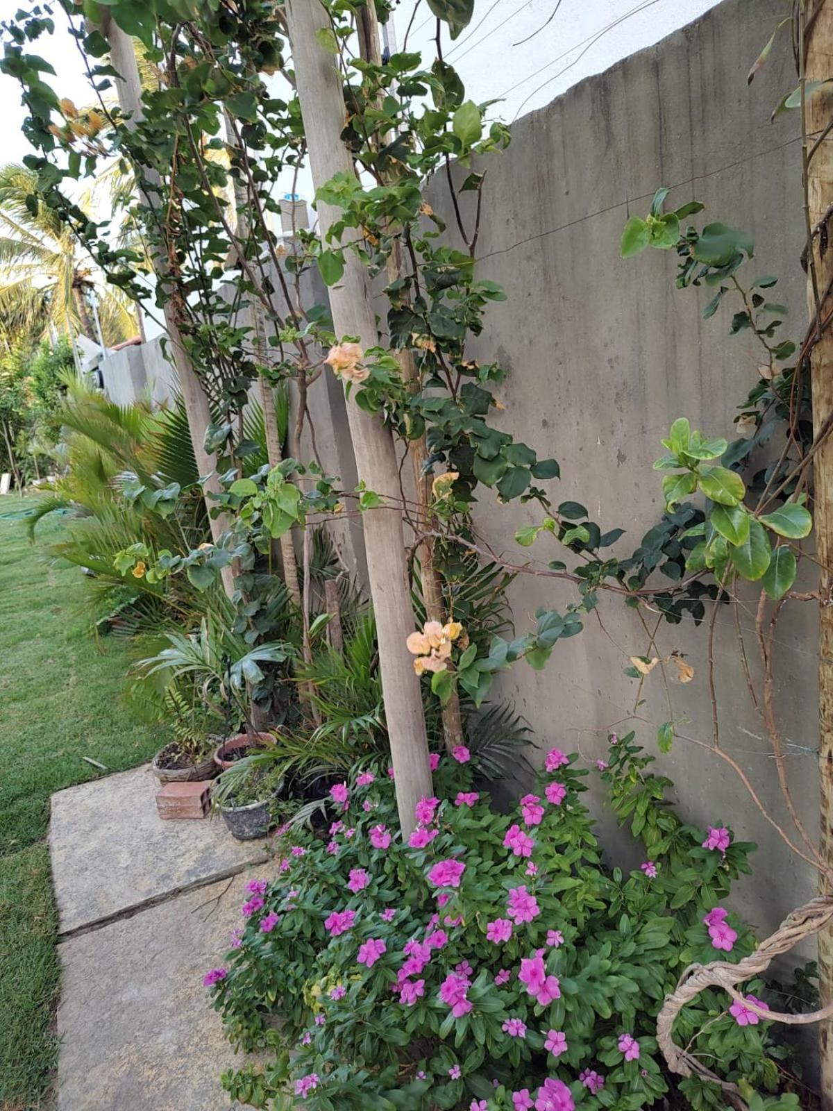 Pousada paraiso das dunas