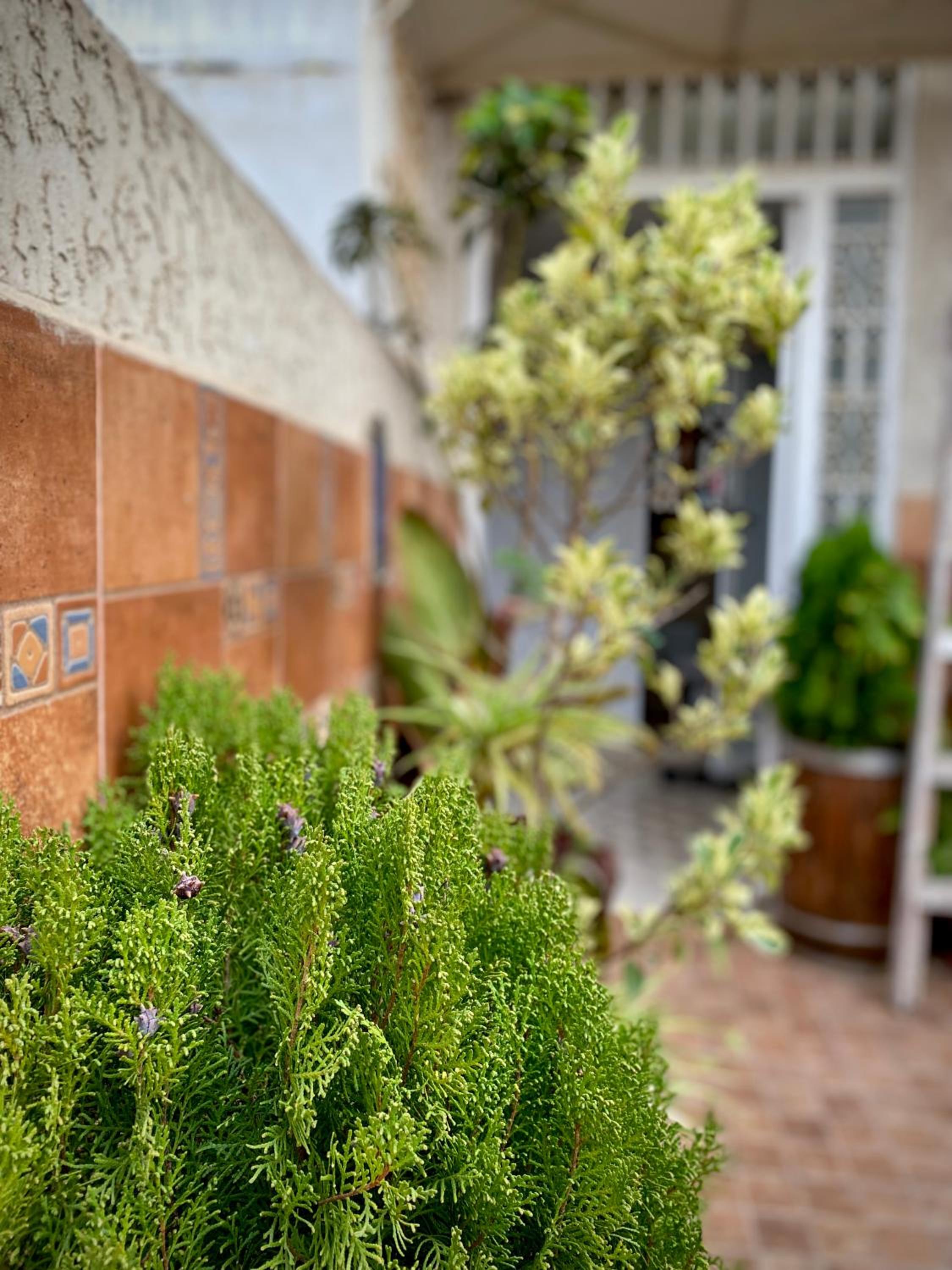 Riad Najiba — photo 126