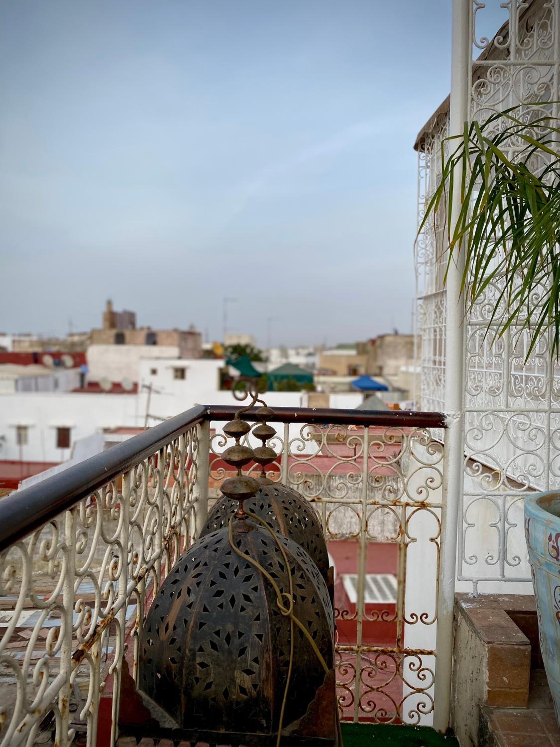 Riad Najiba — photo 44