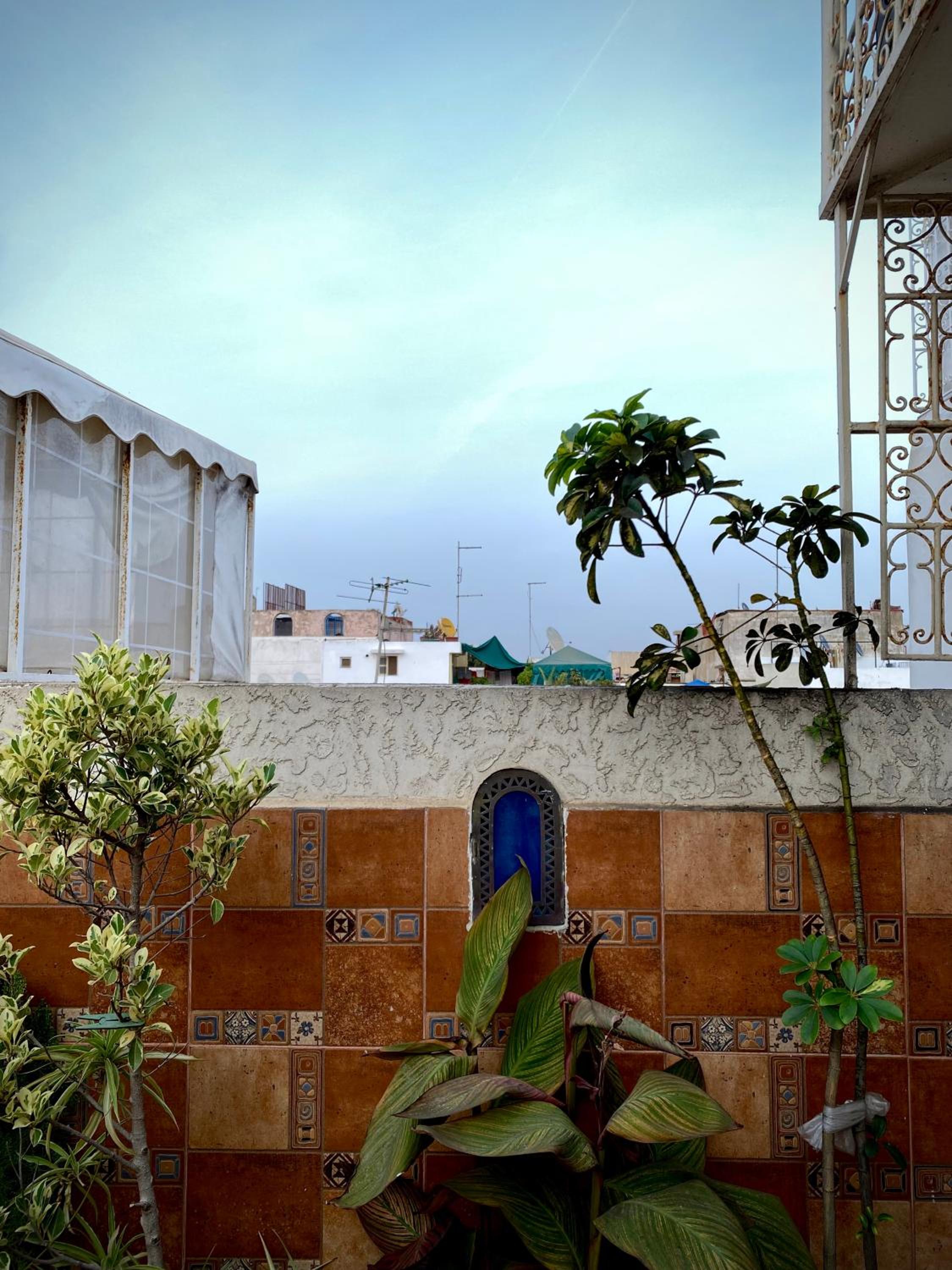 Riad Najiba — photo 45