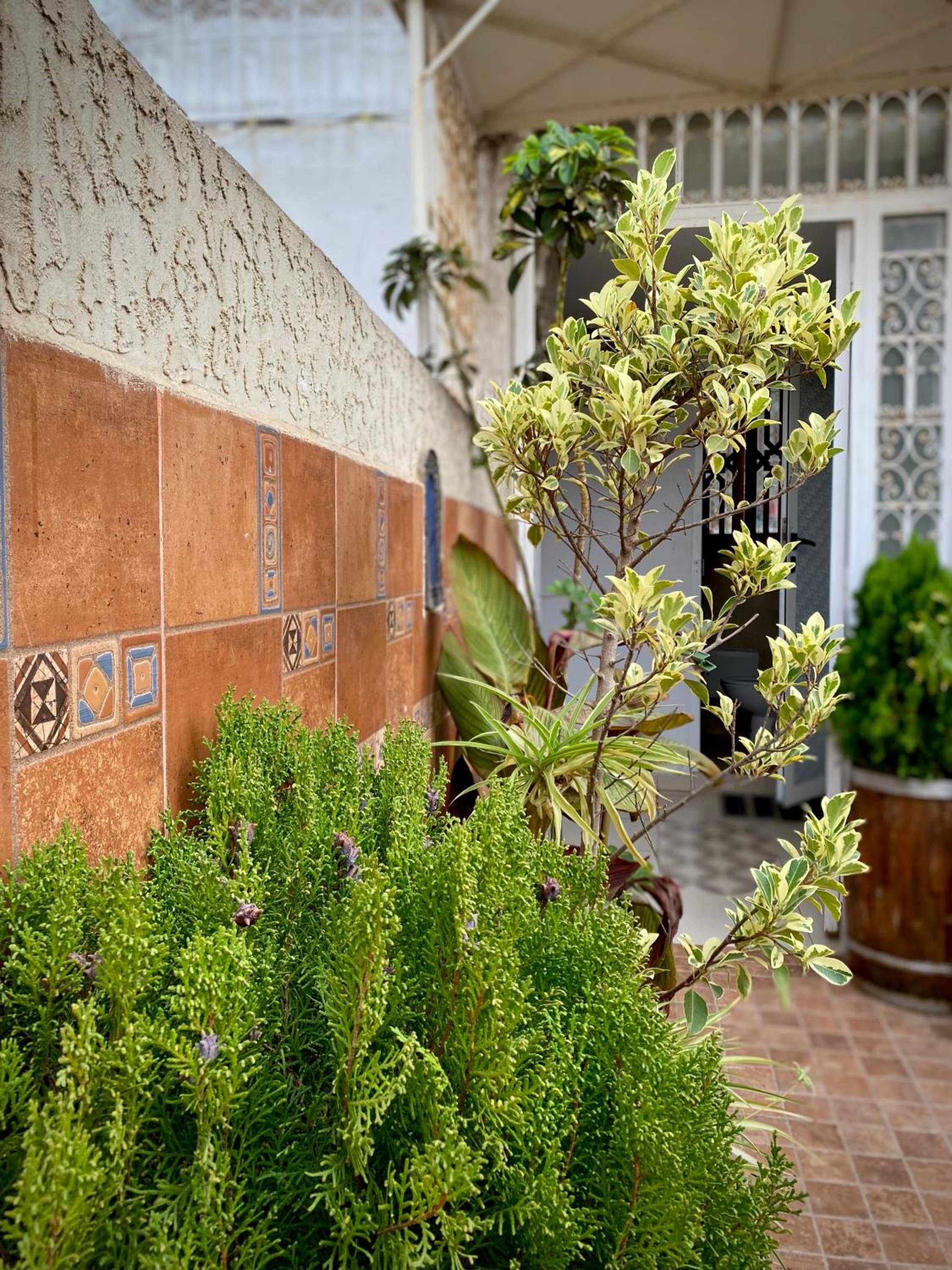 Riad Najiba — photo 105