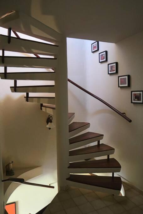 Photo 29