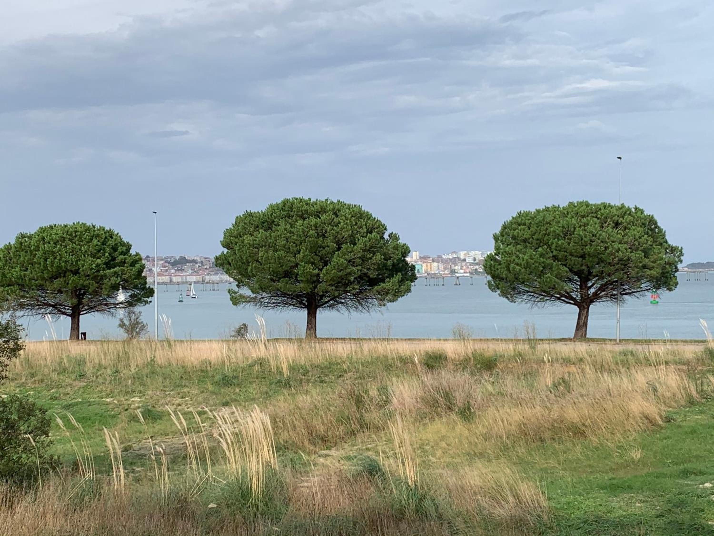 Apartamento Puerto Deportivo Marina de Santander