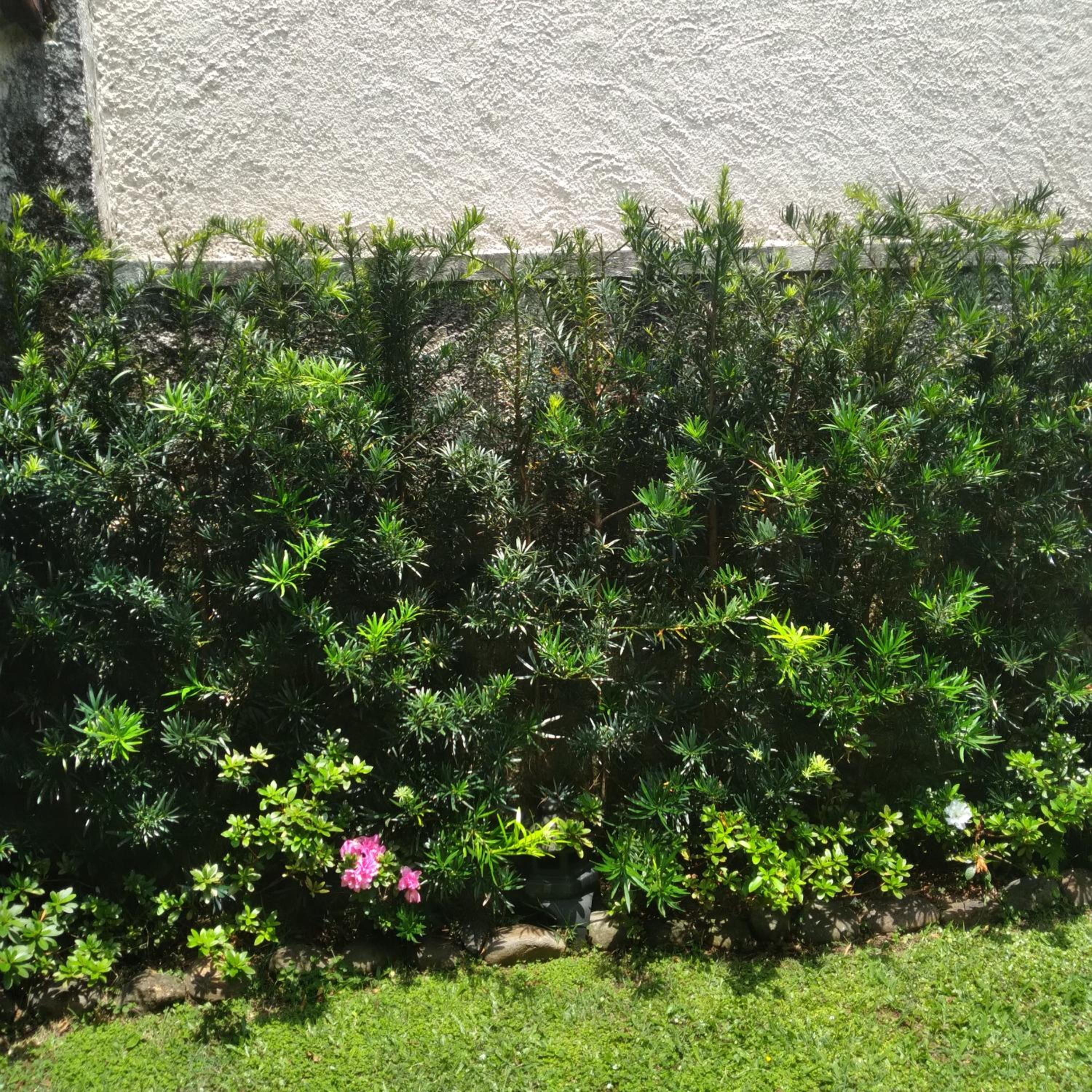 Photo 40