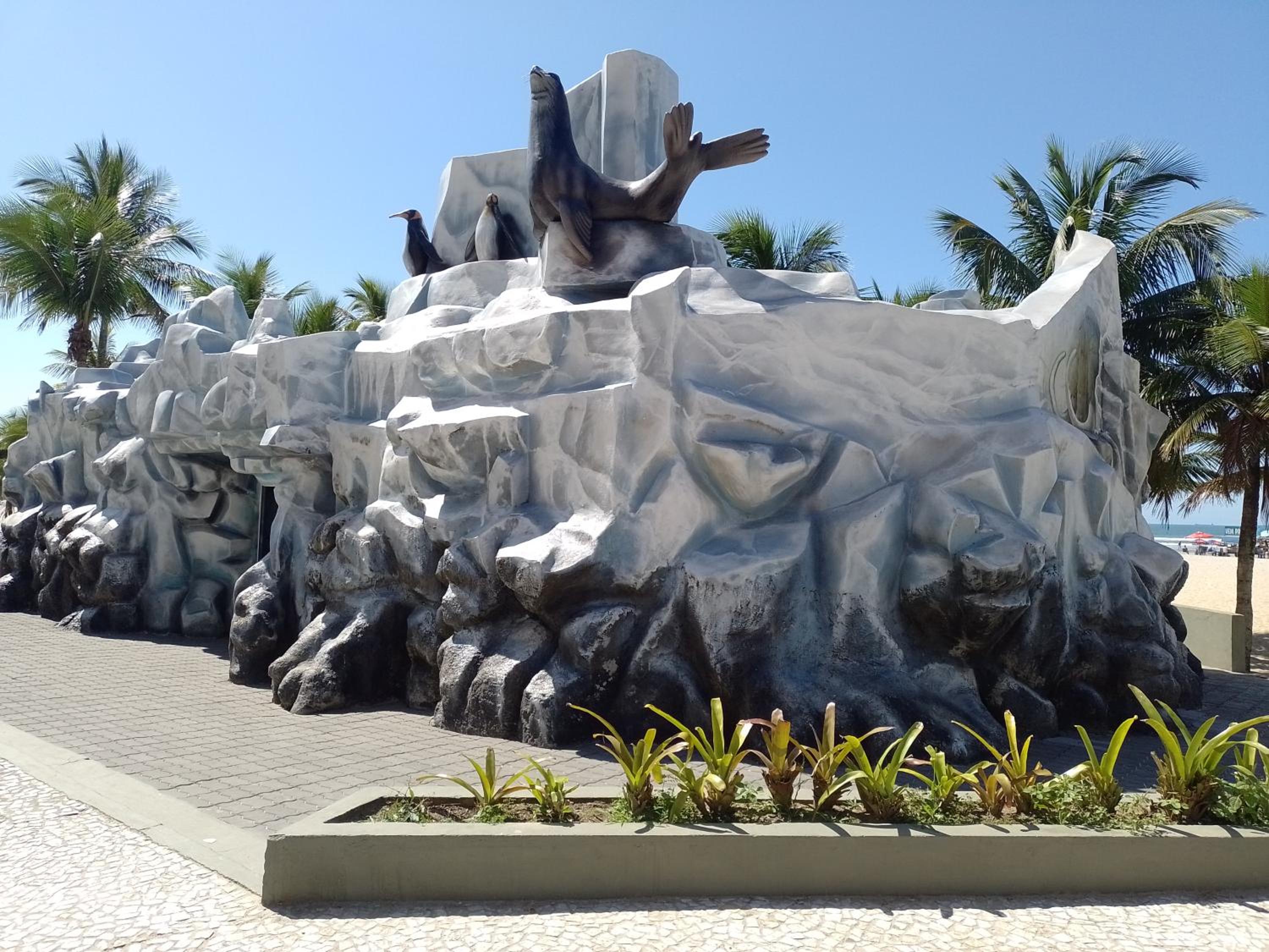 Photo 50
