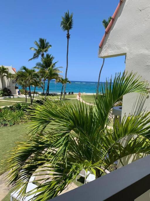 Cabarete Beachfront Condos Nanny Estate A7 view 5