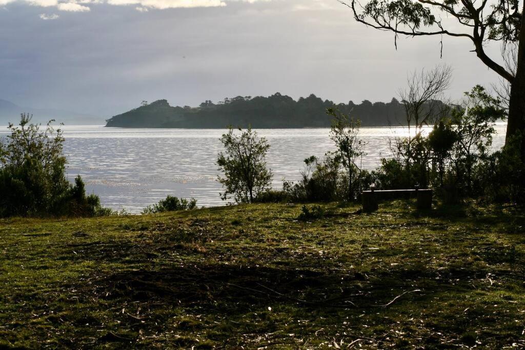 Seagrass on Sunset Bay