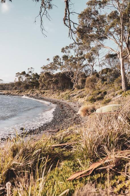 Seagrass on Sunset Bay