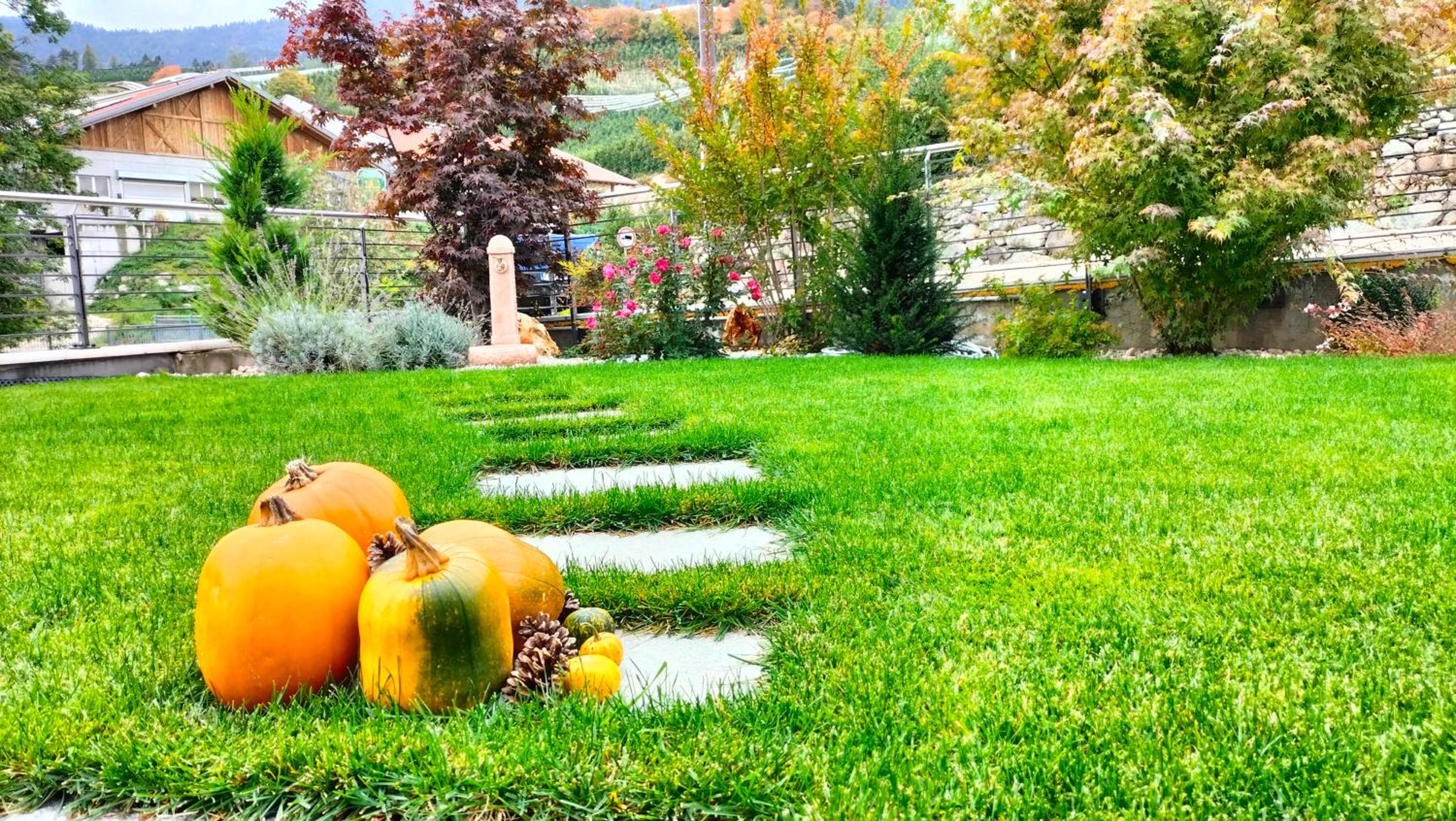 Agritur La Fenice