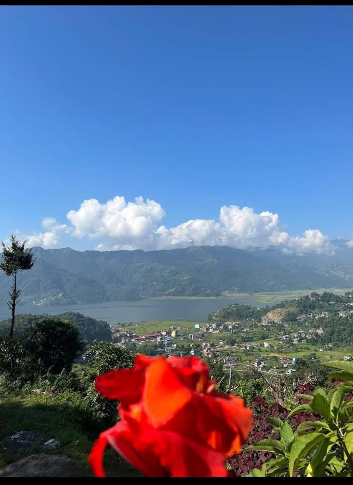 Into The Wild Pokhara view 5