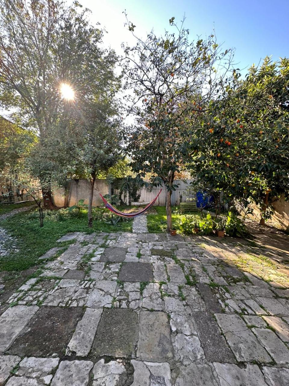 Guest house Amazon view 3