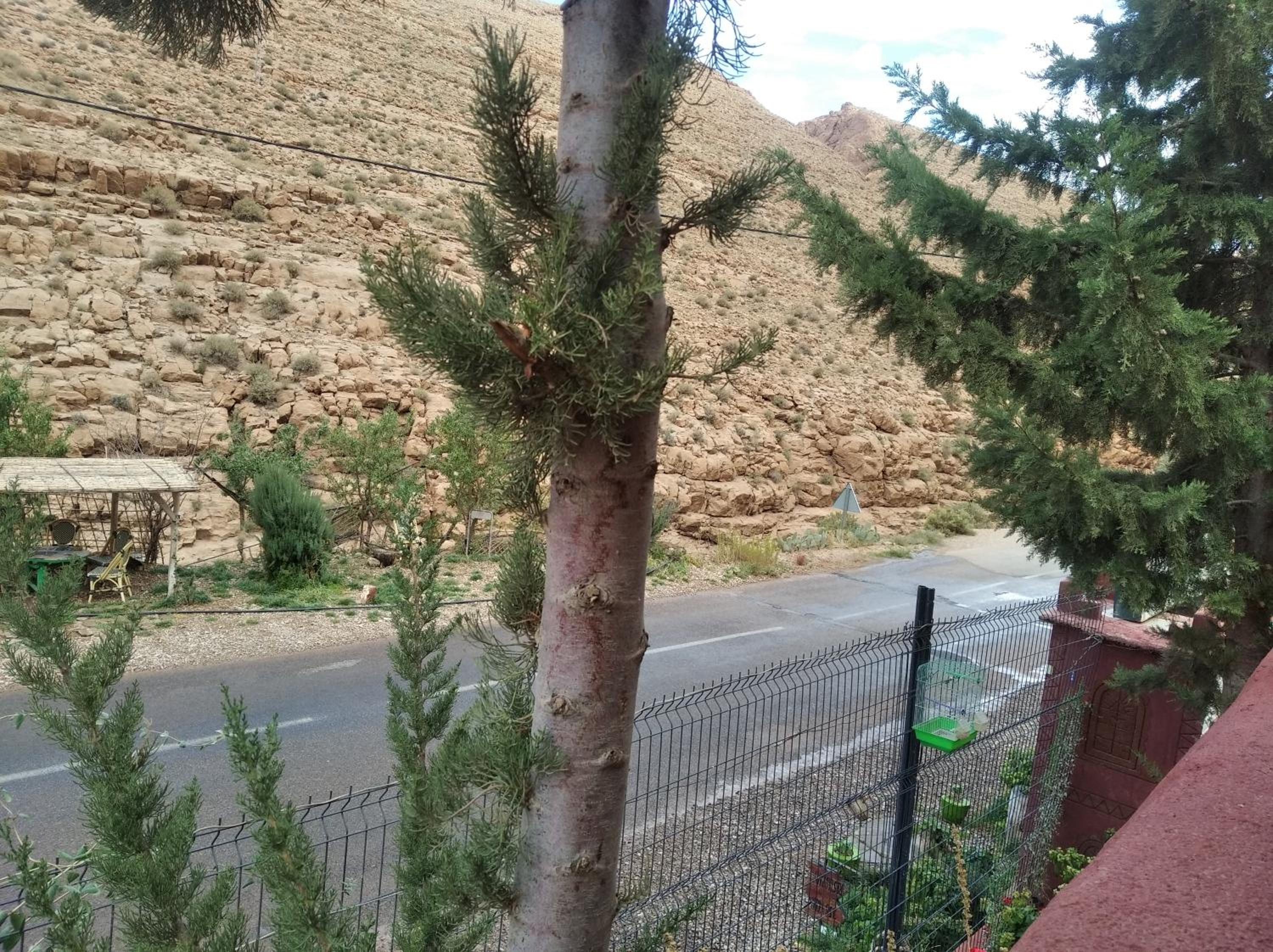 Auberge IMIN TAGHYA