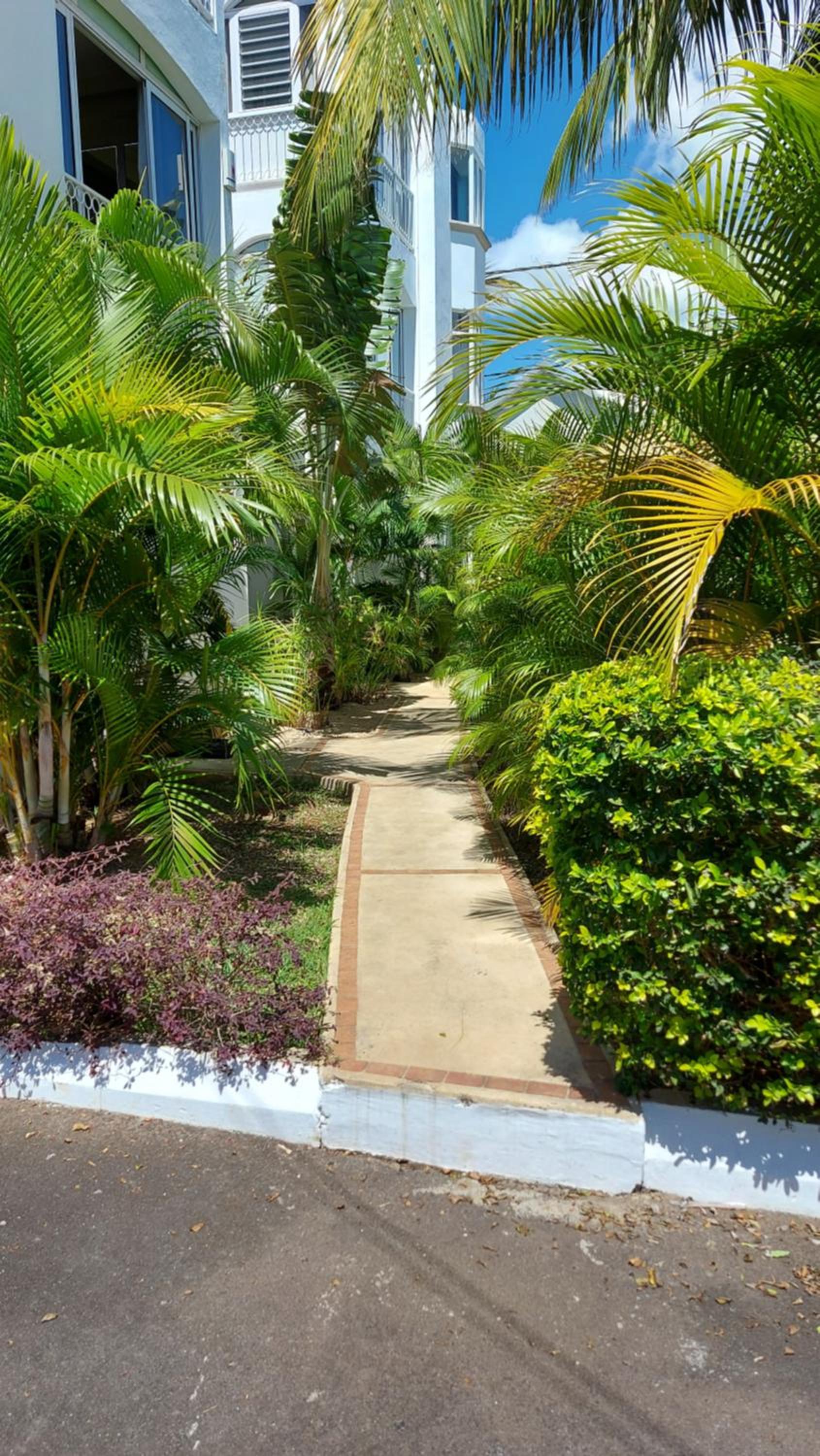 Tropical Palms apartment Mauritius view 5