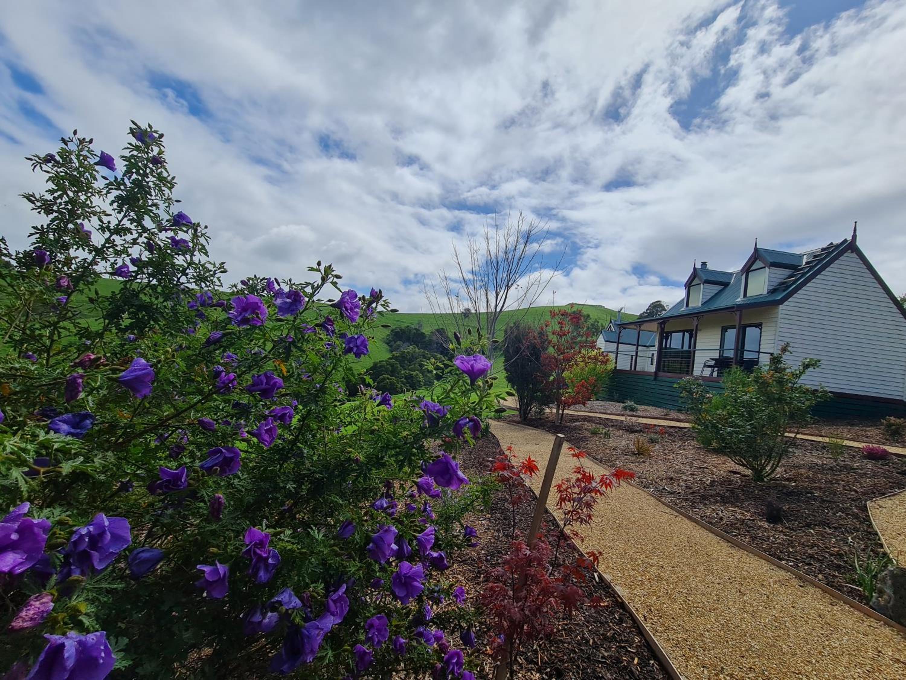 Maple Ridge Cottages