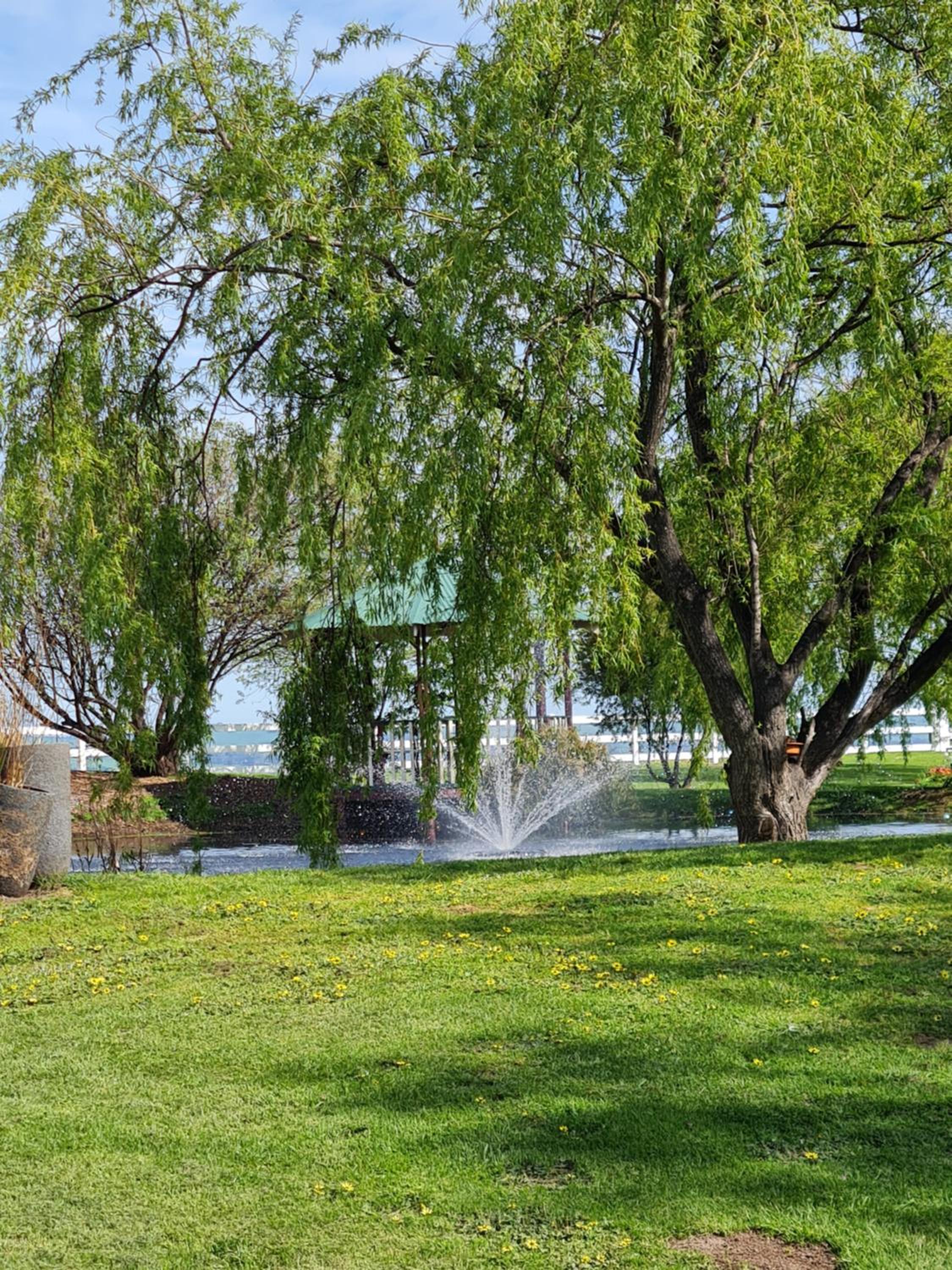 Maple Ridge Cottages