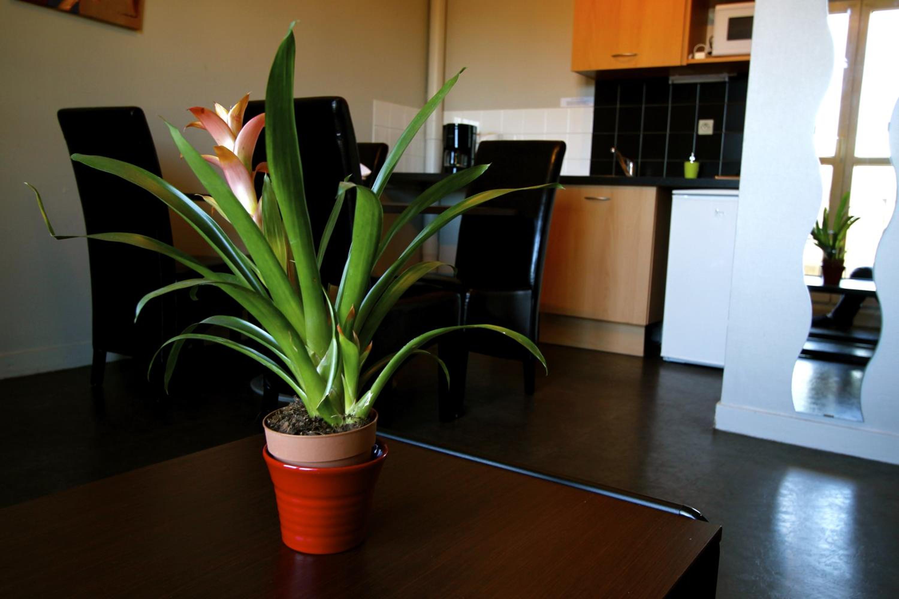 Saint-Etienne Vacations - Appart'hotel Les Palatines - Property Image 17