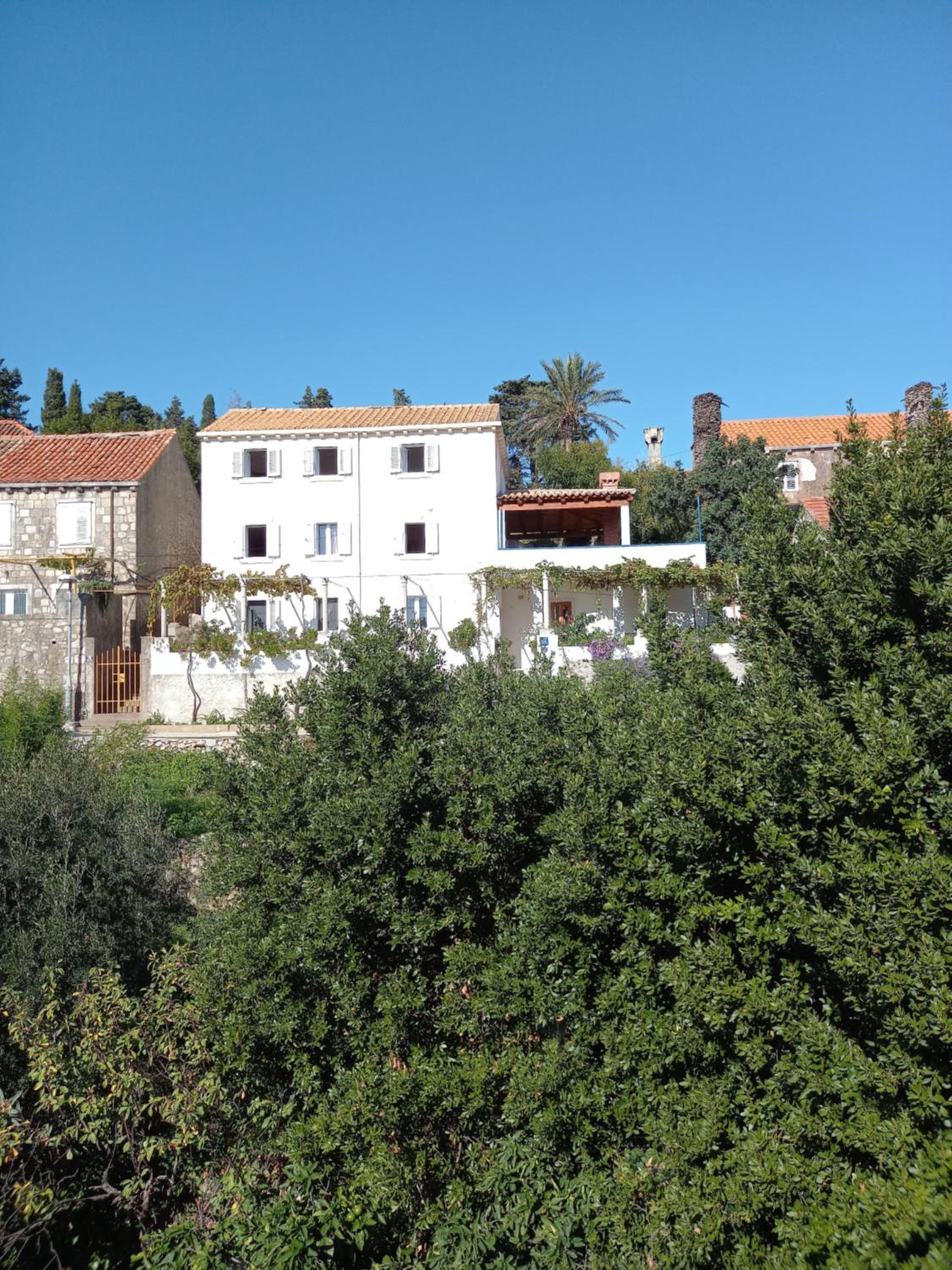 Villa Sea Dream Koločep