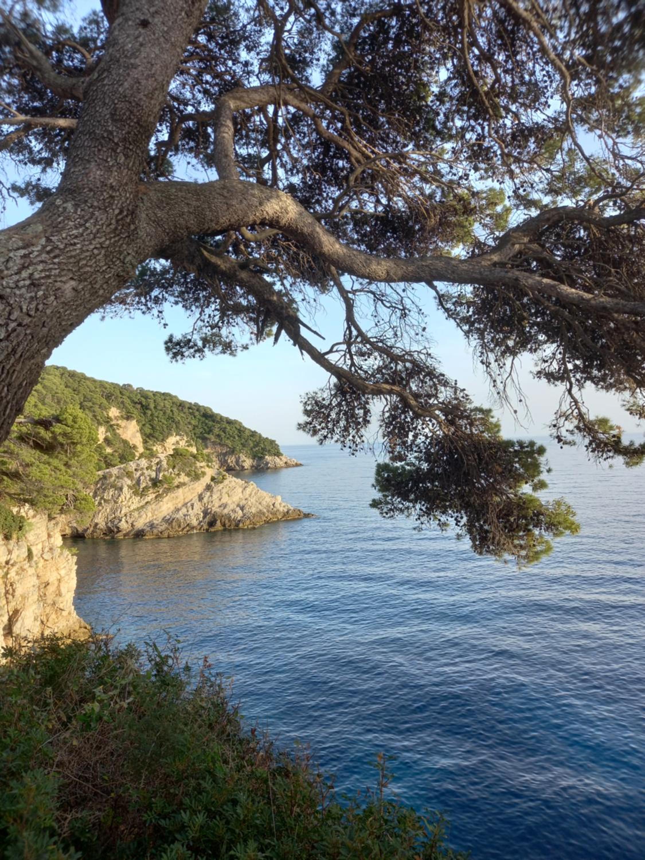 Villa Sea Dream Koločep