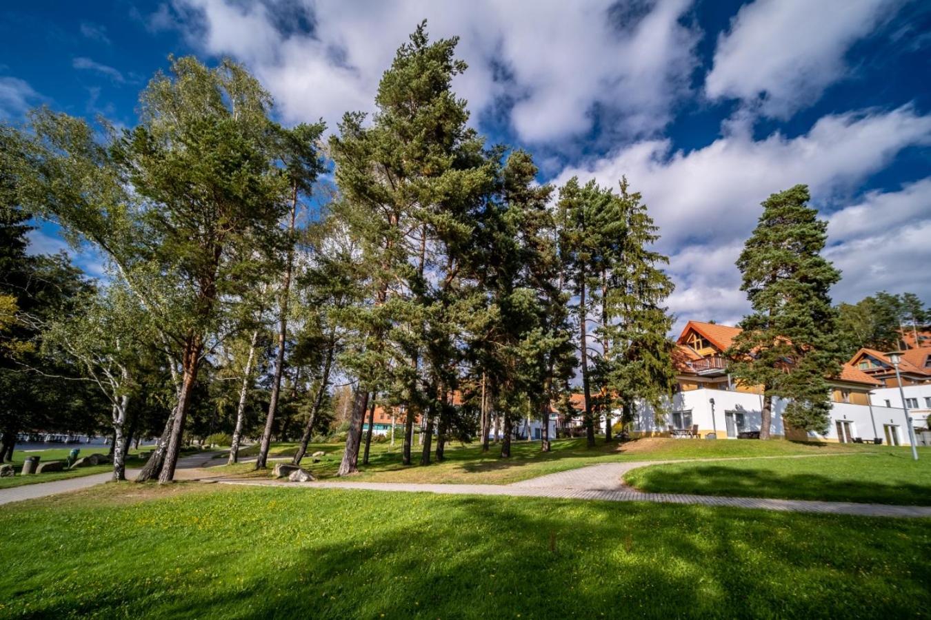 Apartment Riviera 503-7 Lipno Home