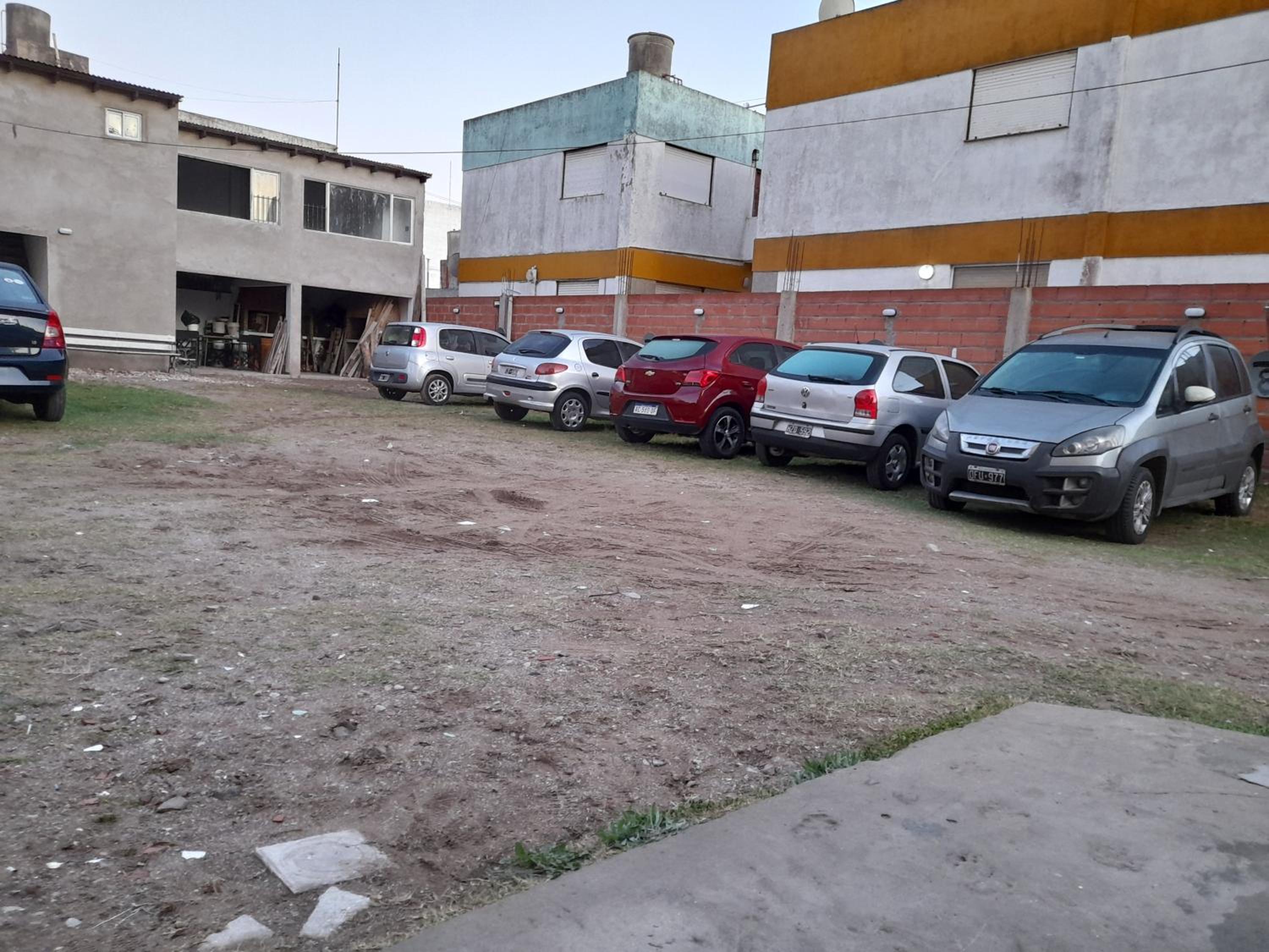 Palmeras Departamentos
