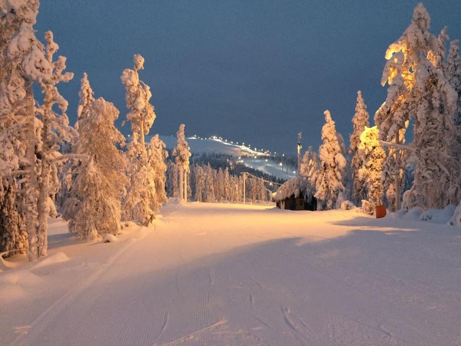 Levi Chalets