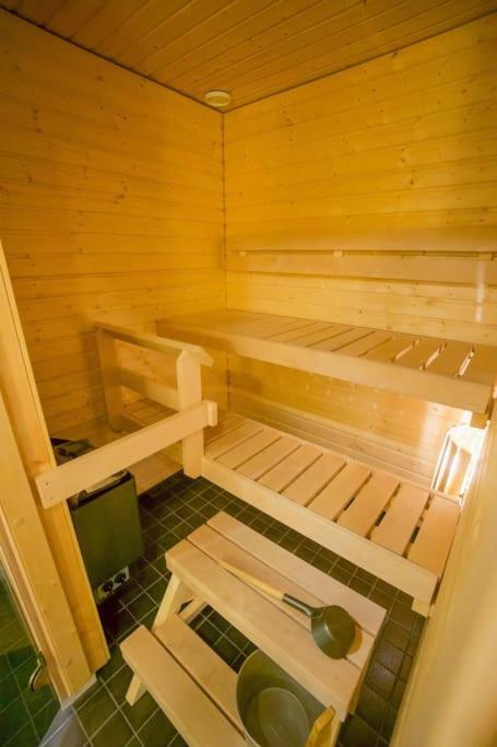 Levi Chalets