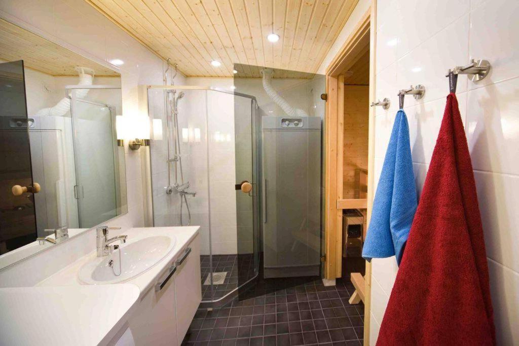 Levi Chalets