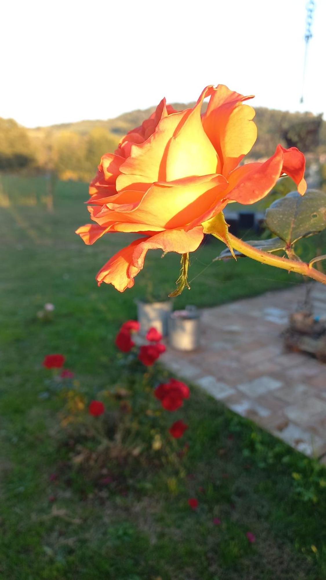 Photo 33