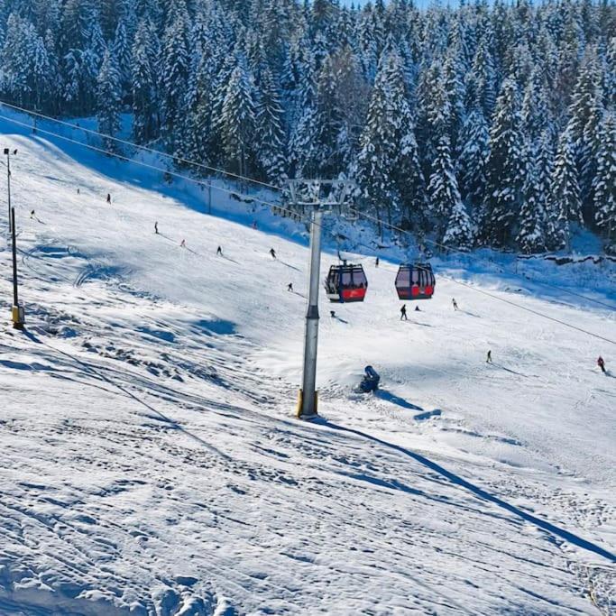 Nature Nest - Boutique Apartment - Ravna Planina