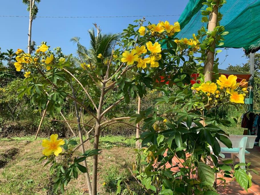 Discovery Mekong local's life - Breakfast TwoBoatTours Included for 2nights view 4