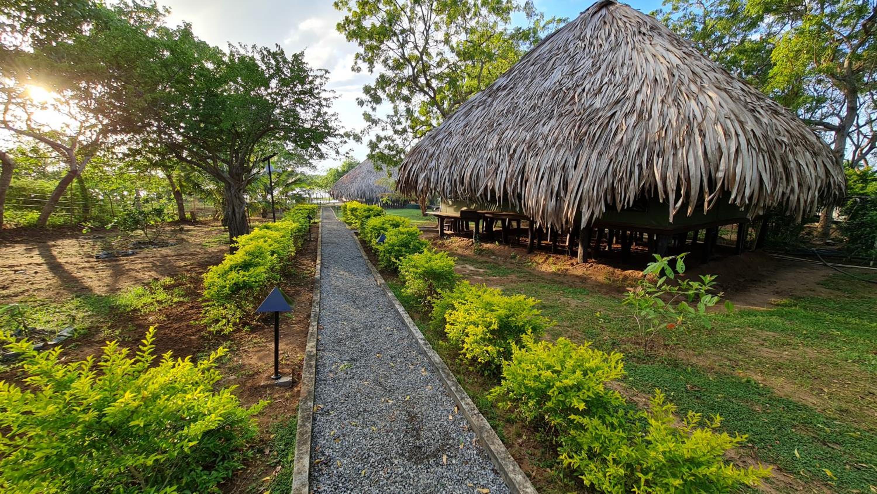 Yala Lake View Cabanas view 2