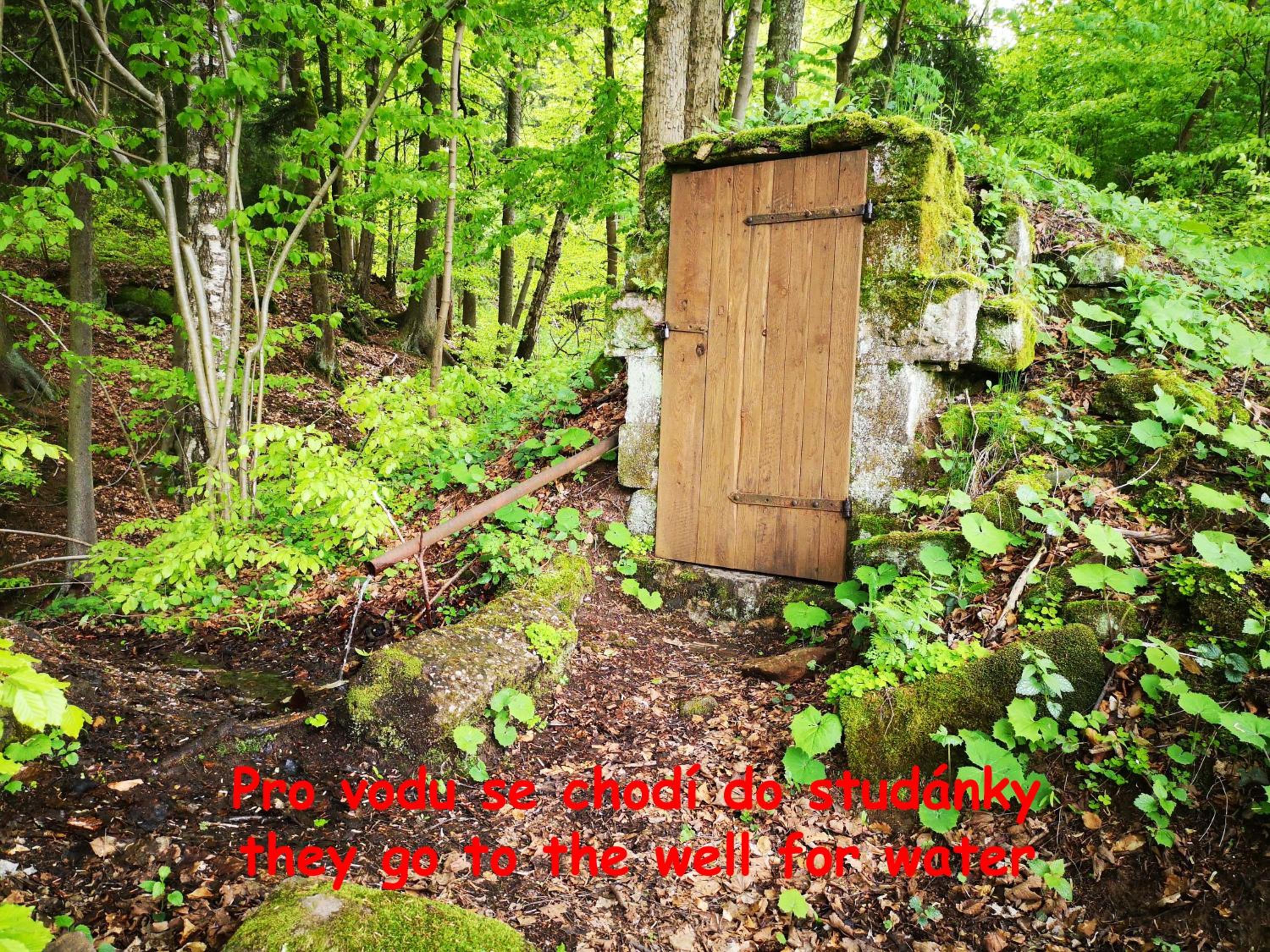 Photo 28