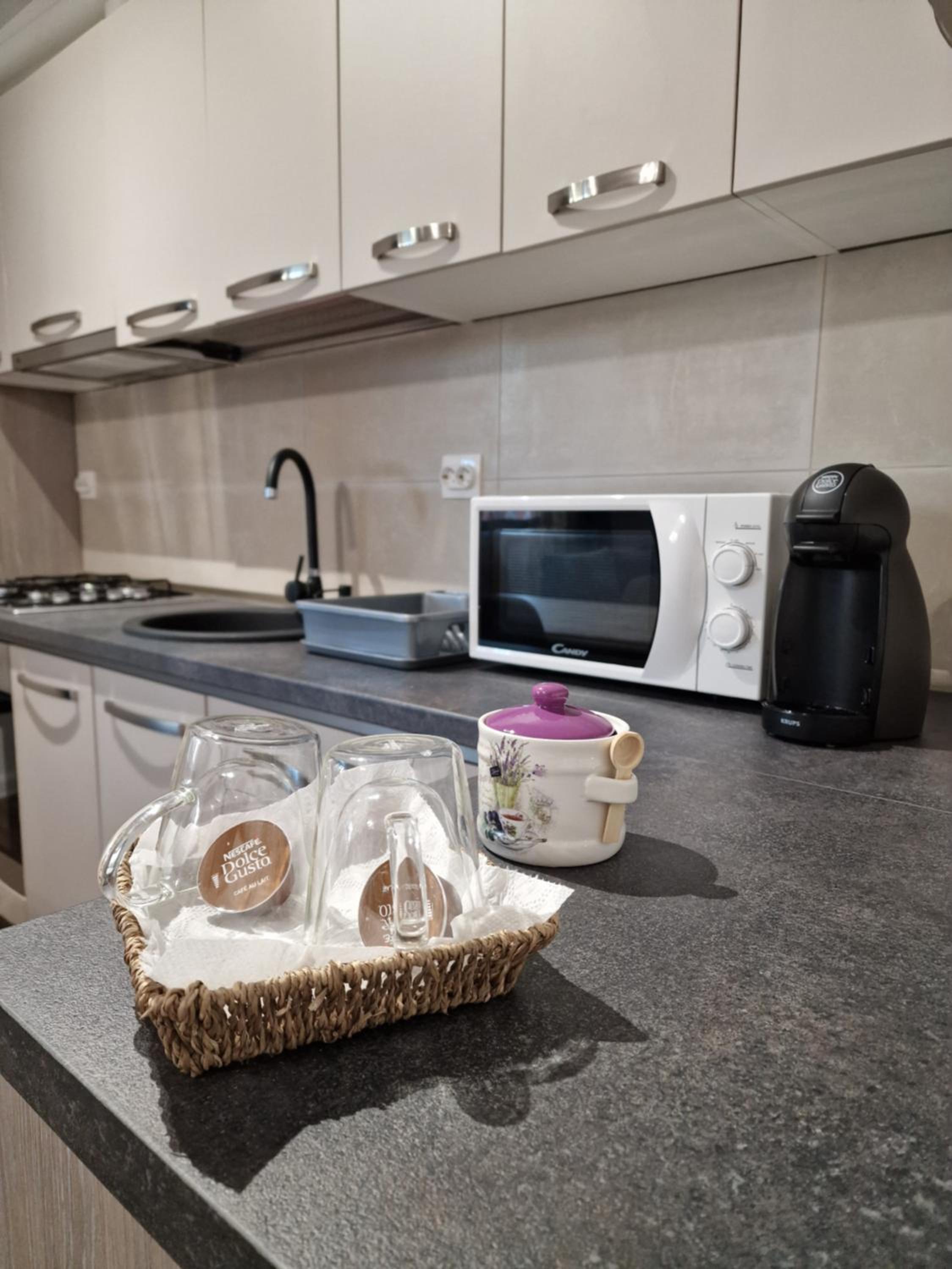 Vic Apartament