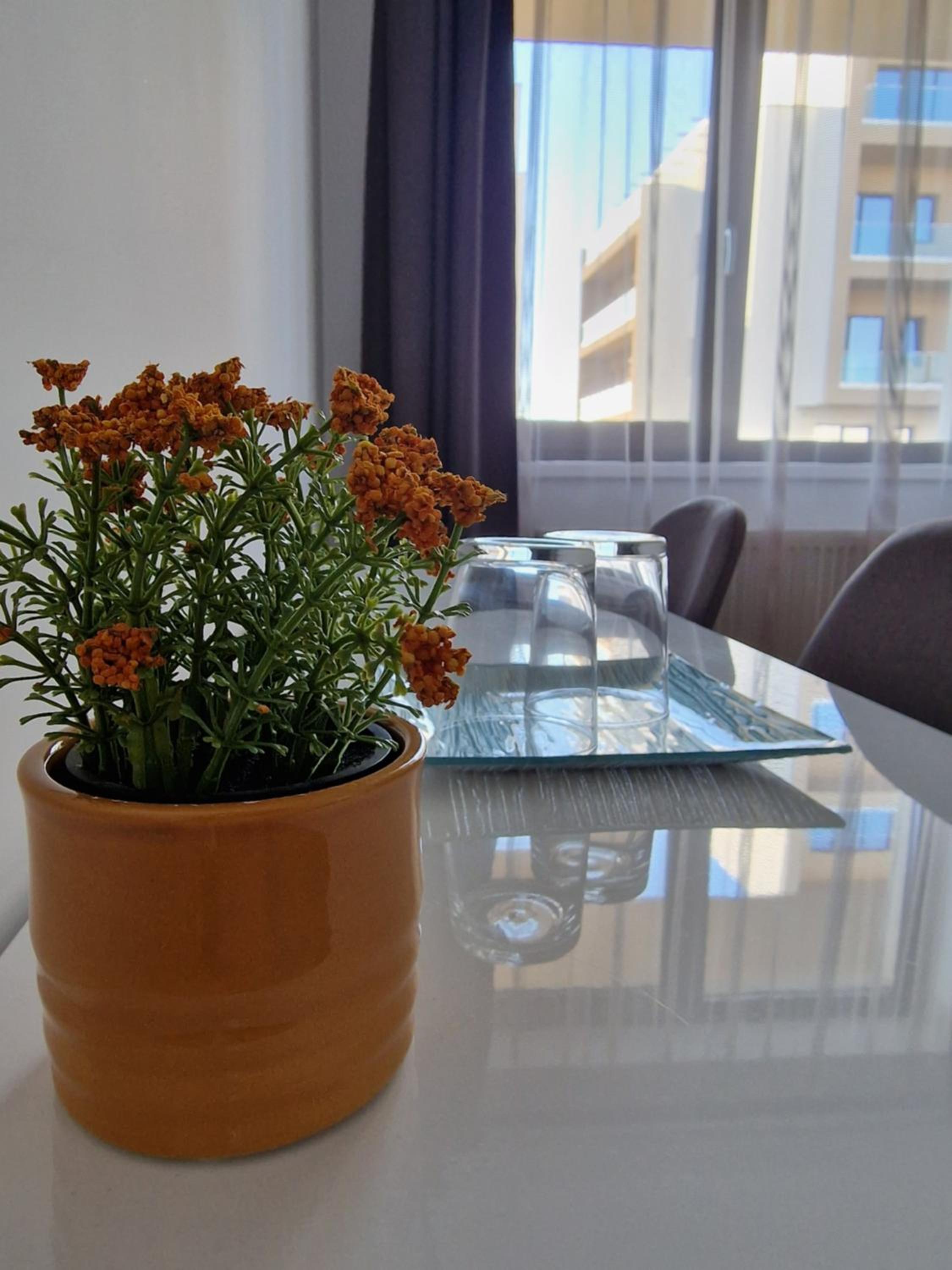 Vic Apartament