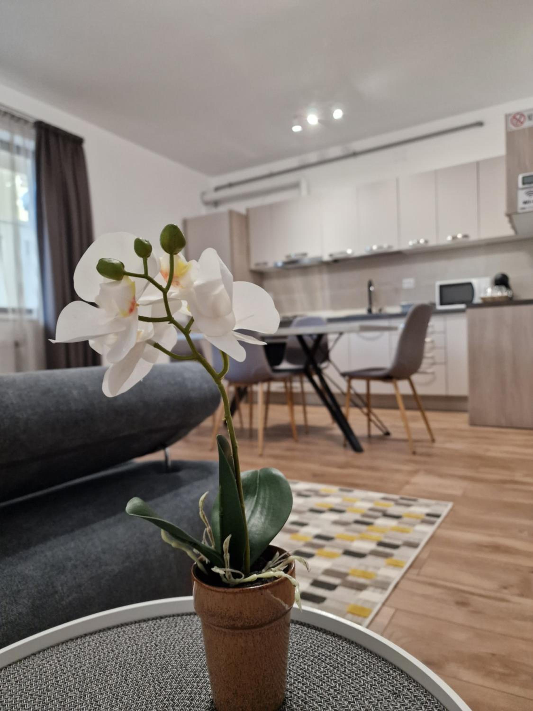 Vic Apartament