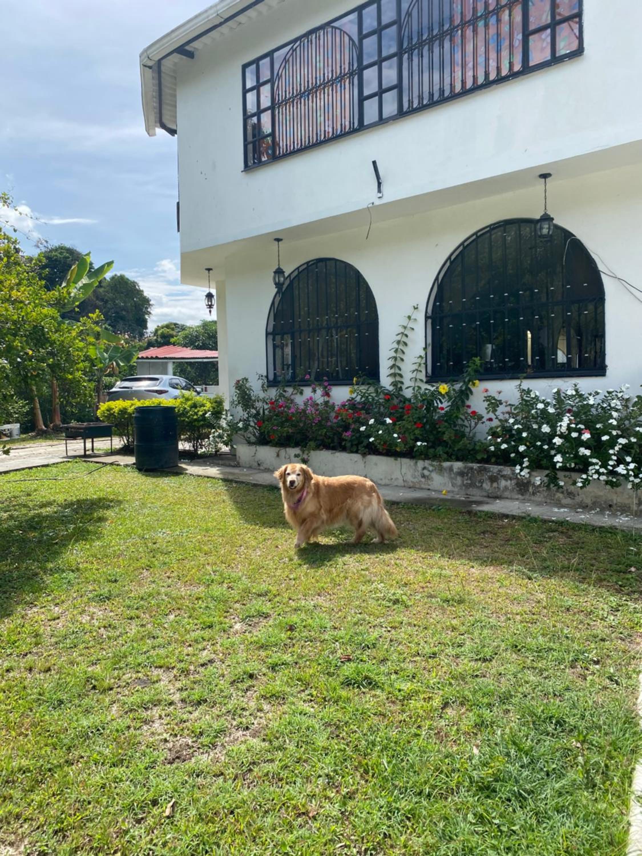 Villa Gabritali view 5
