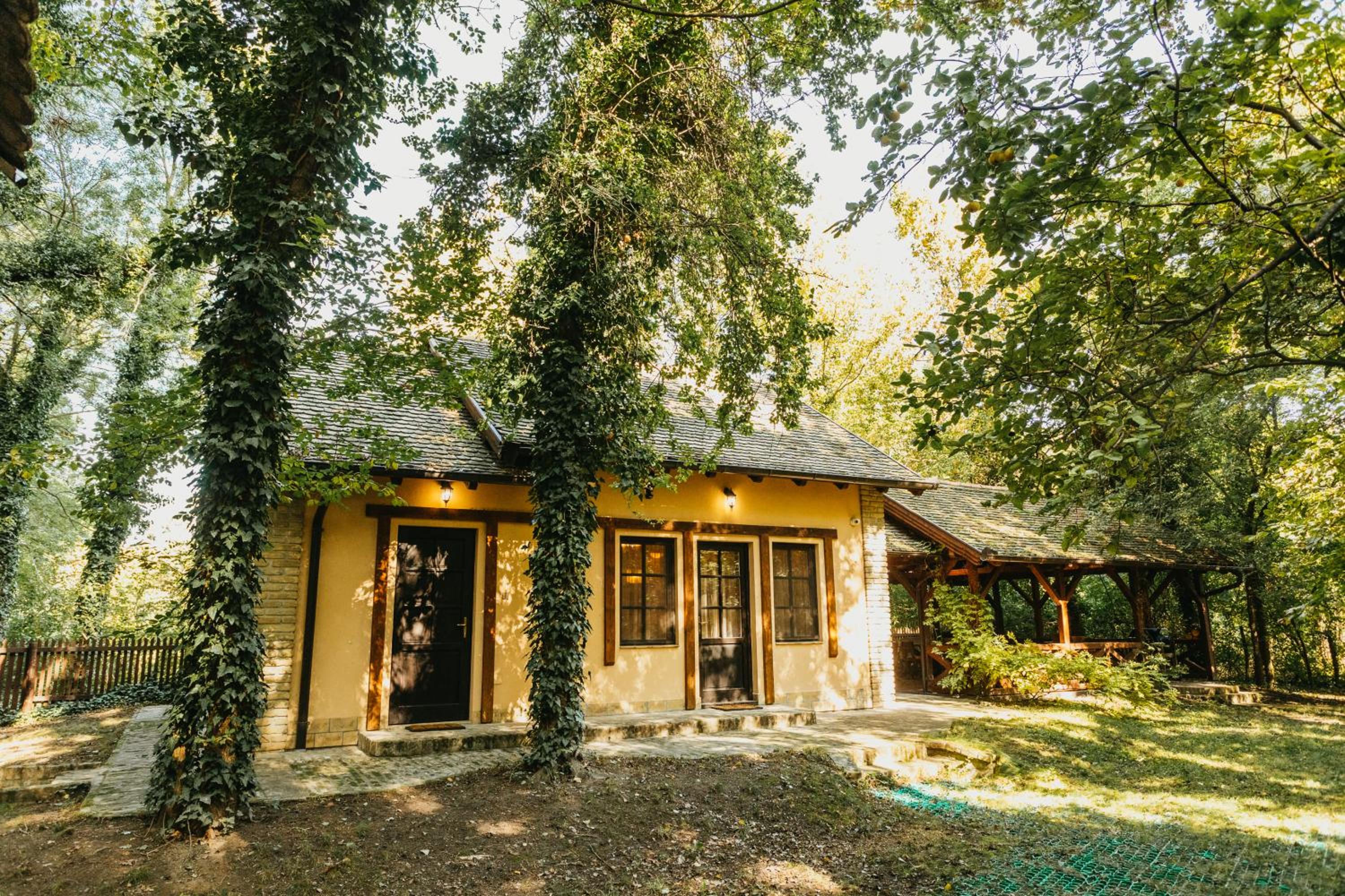 Forest House view 3