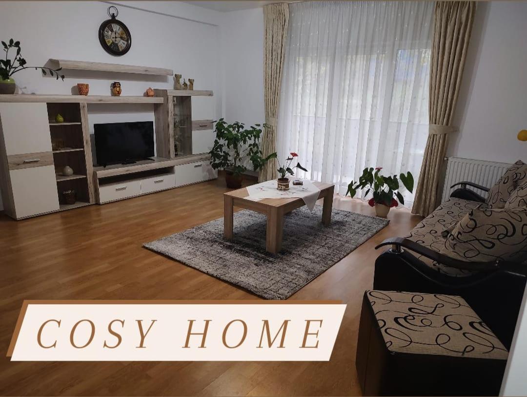 Cosy apartment I view 3