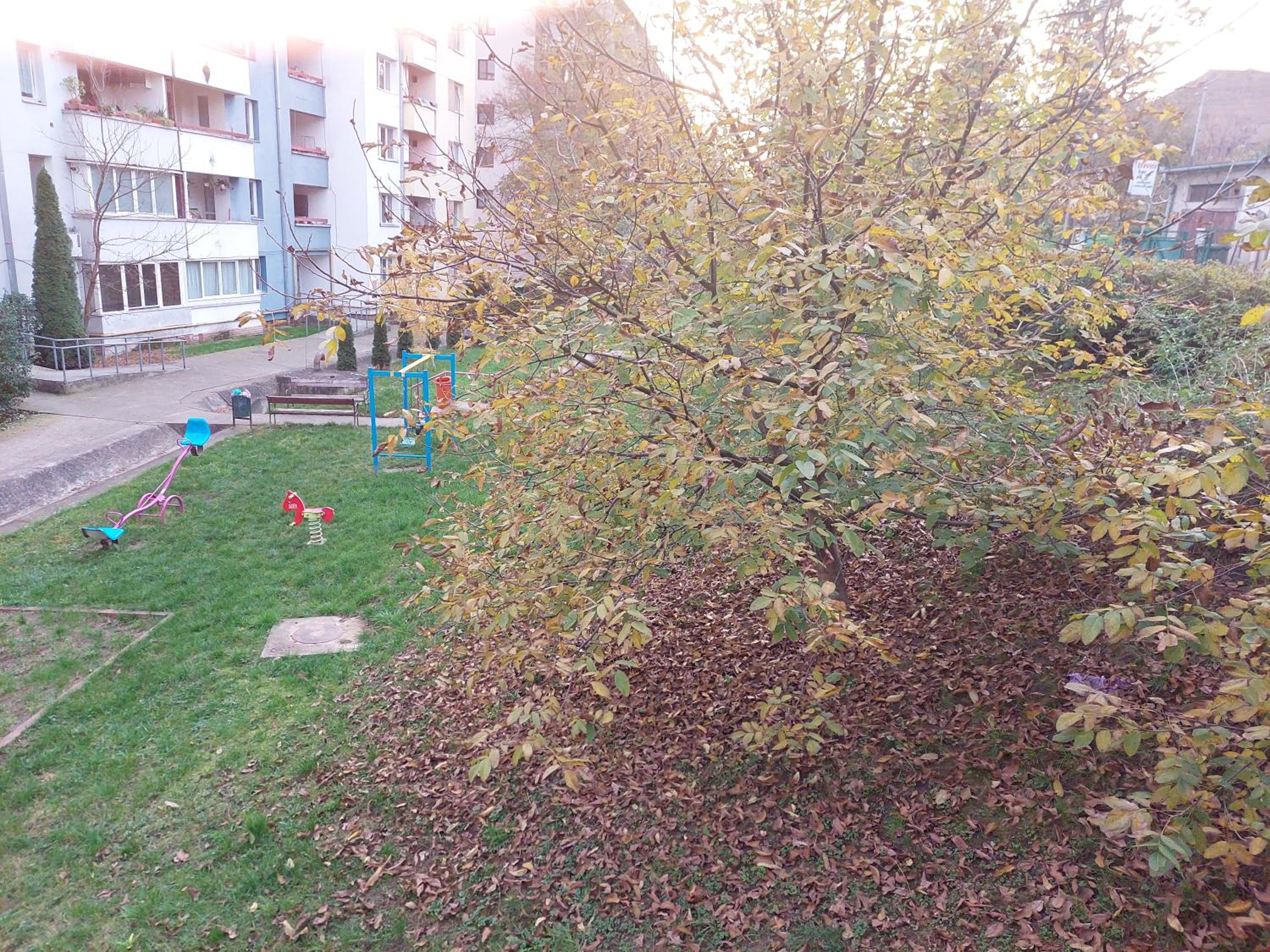 Photo 22