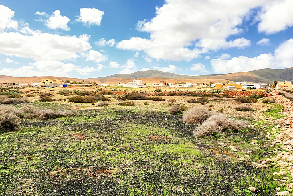 other