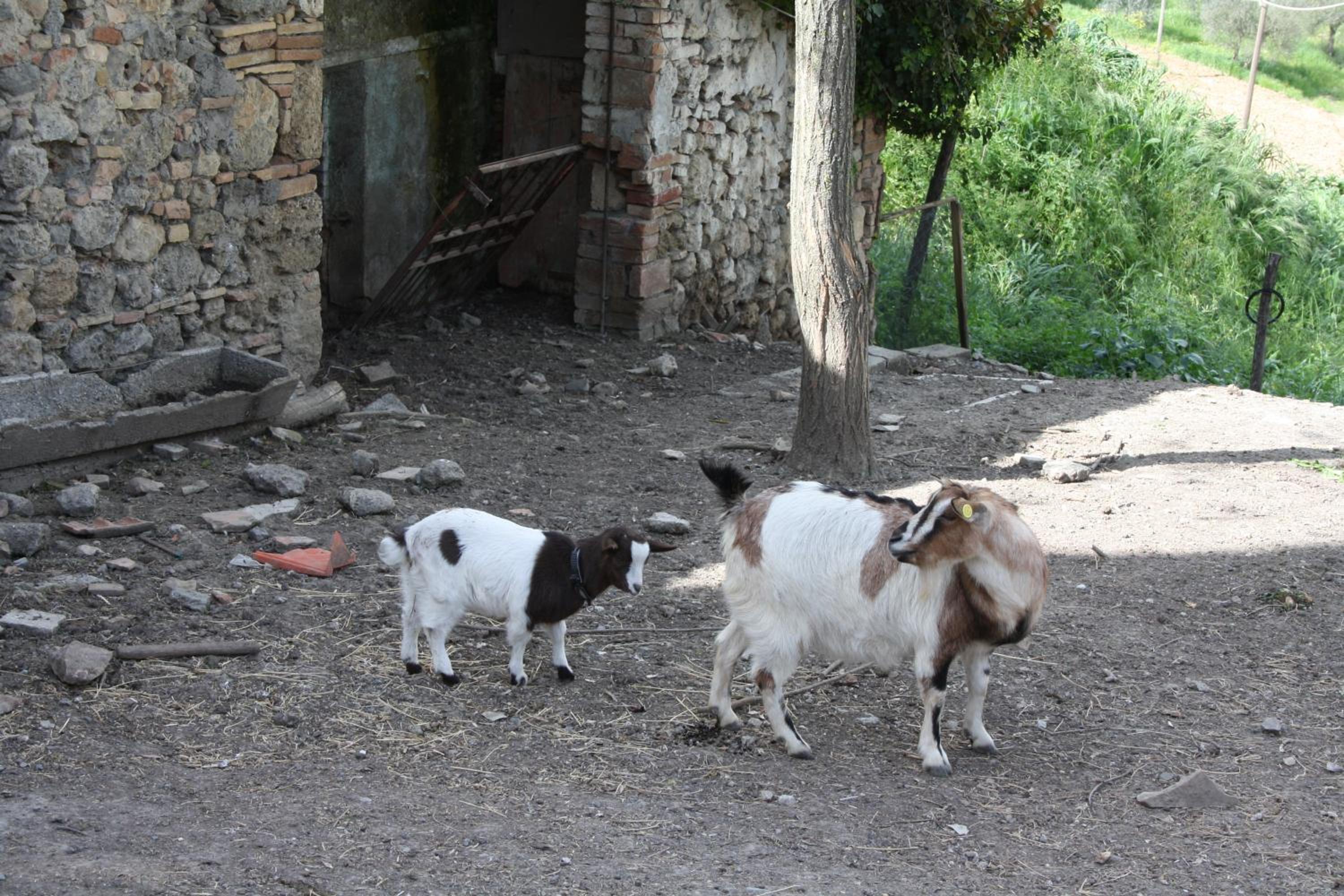 Photo 50