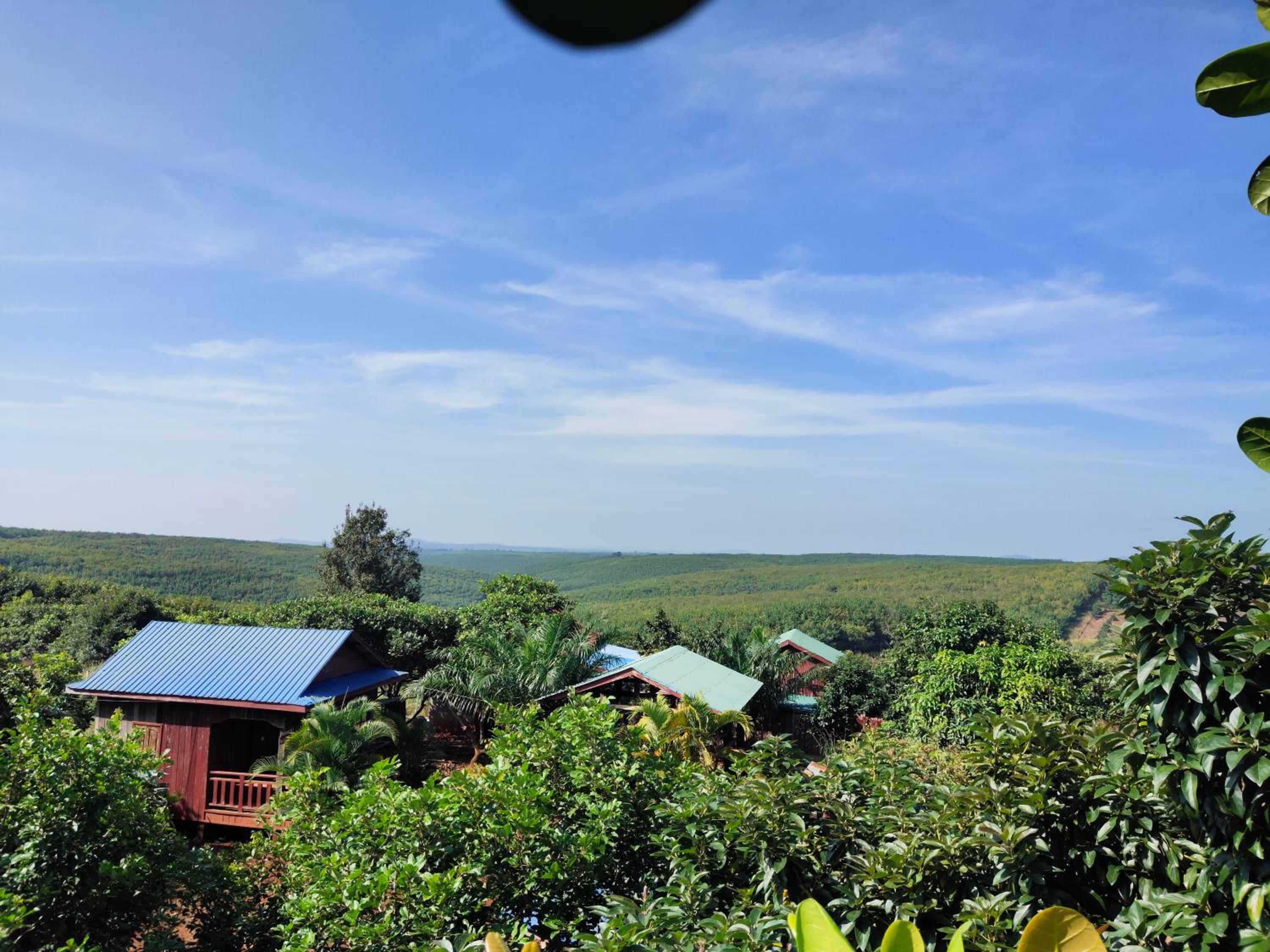 Tree Trails Homestay & Offers Jungle Trekk-Scooter For Rental view 4