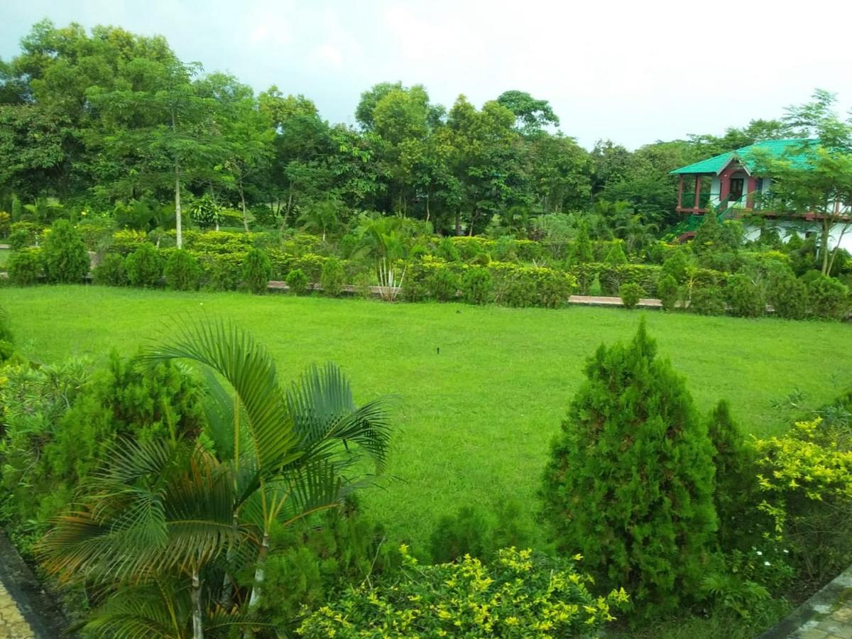 Photo 8