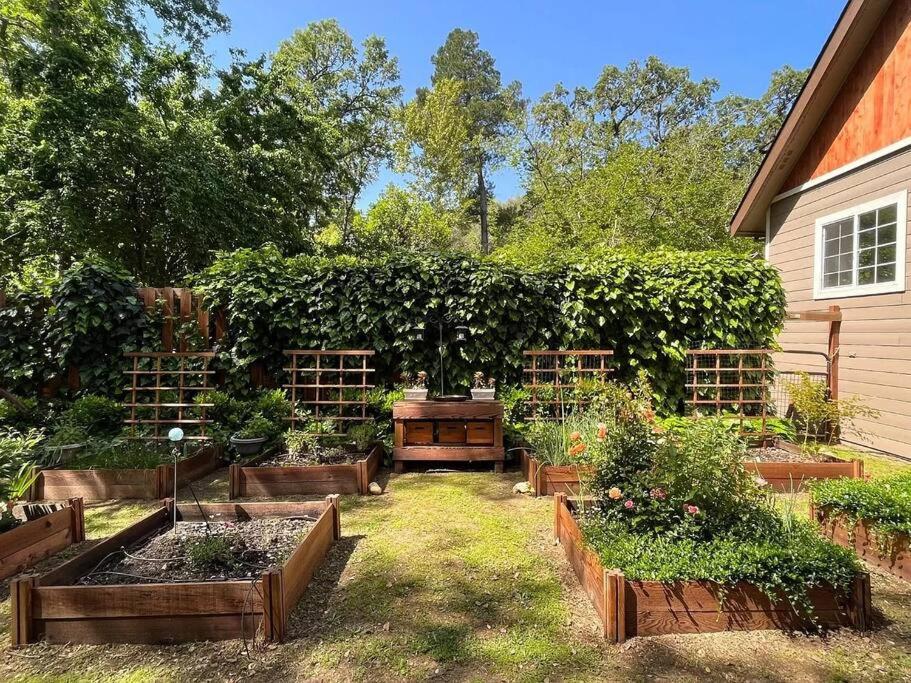 Cozy private home, 1 acre orchards near Apple Hill view 2