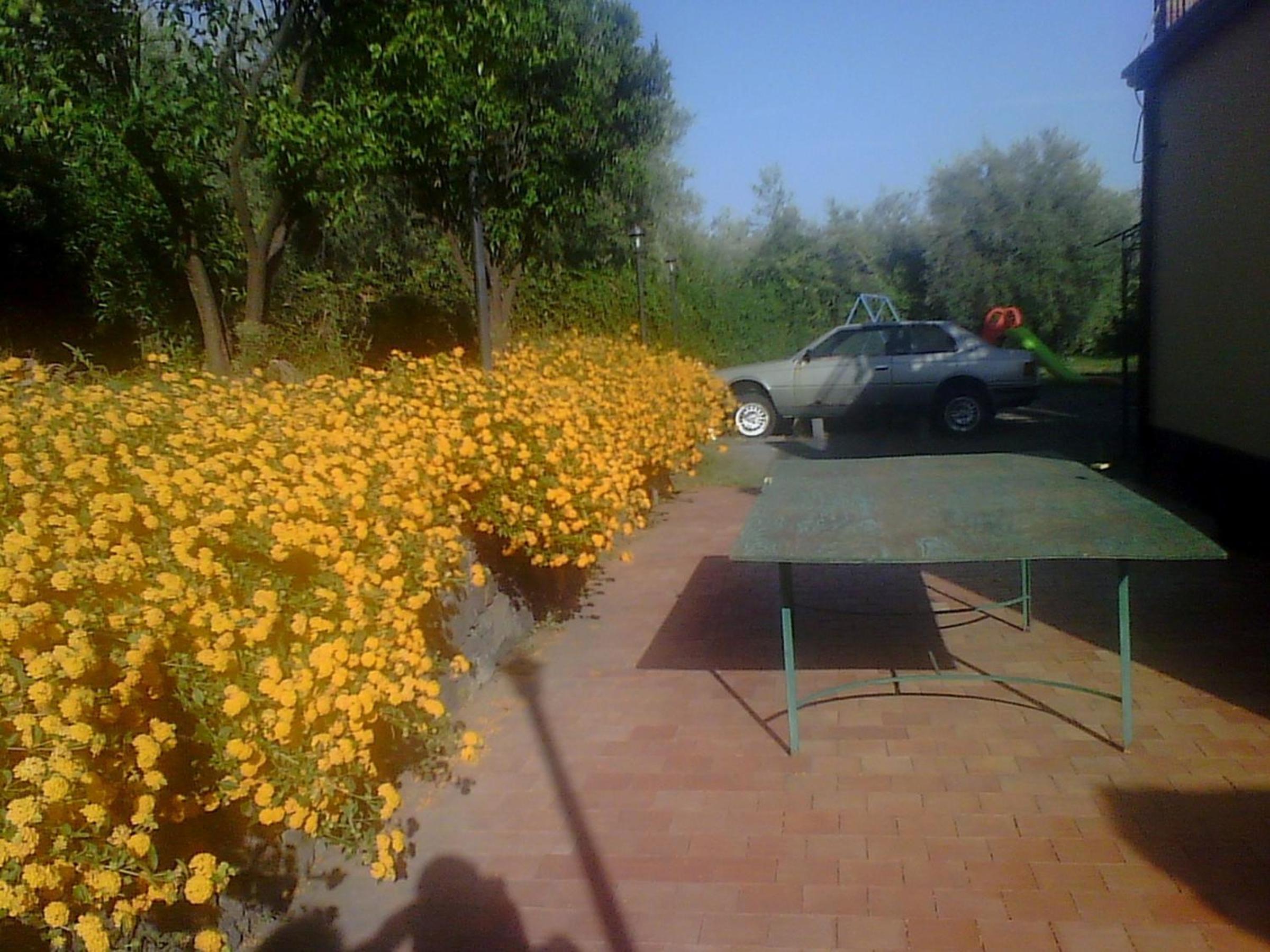 Photo 32